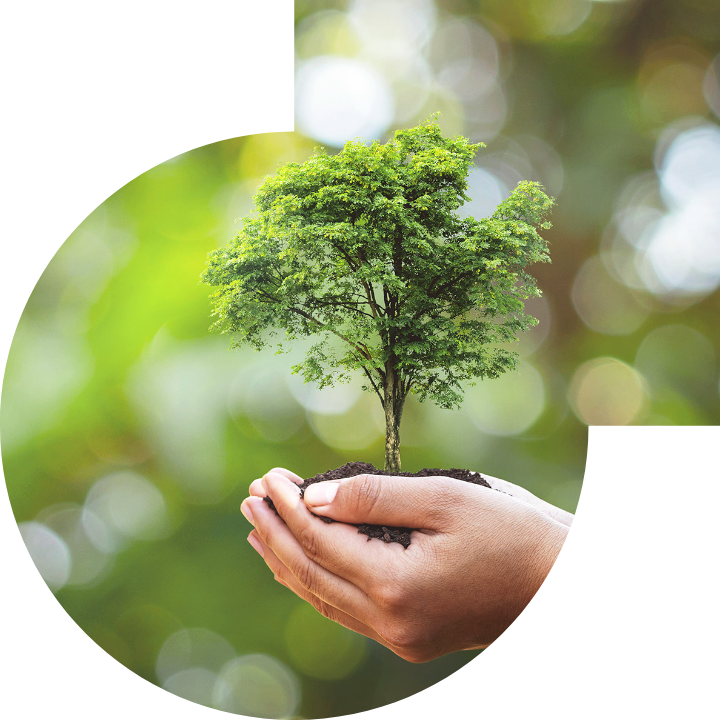 关怀人类、文化、环境与社会